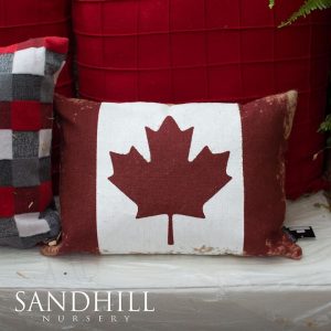 Canadian Themed Pillow