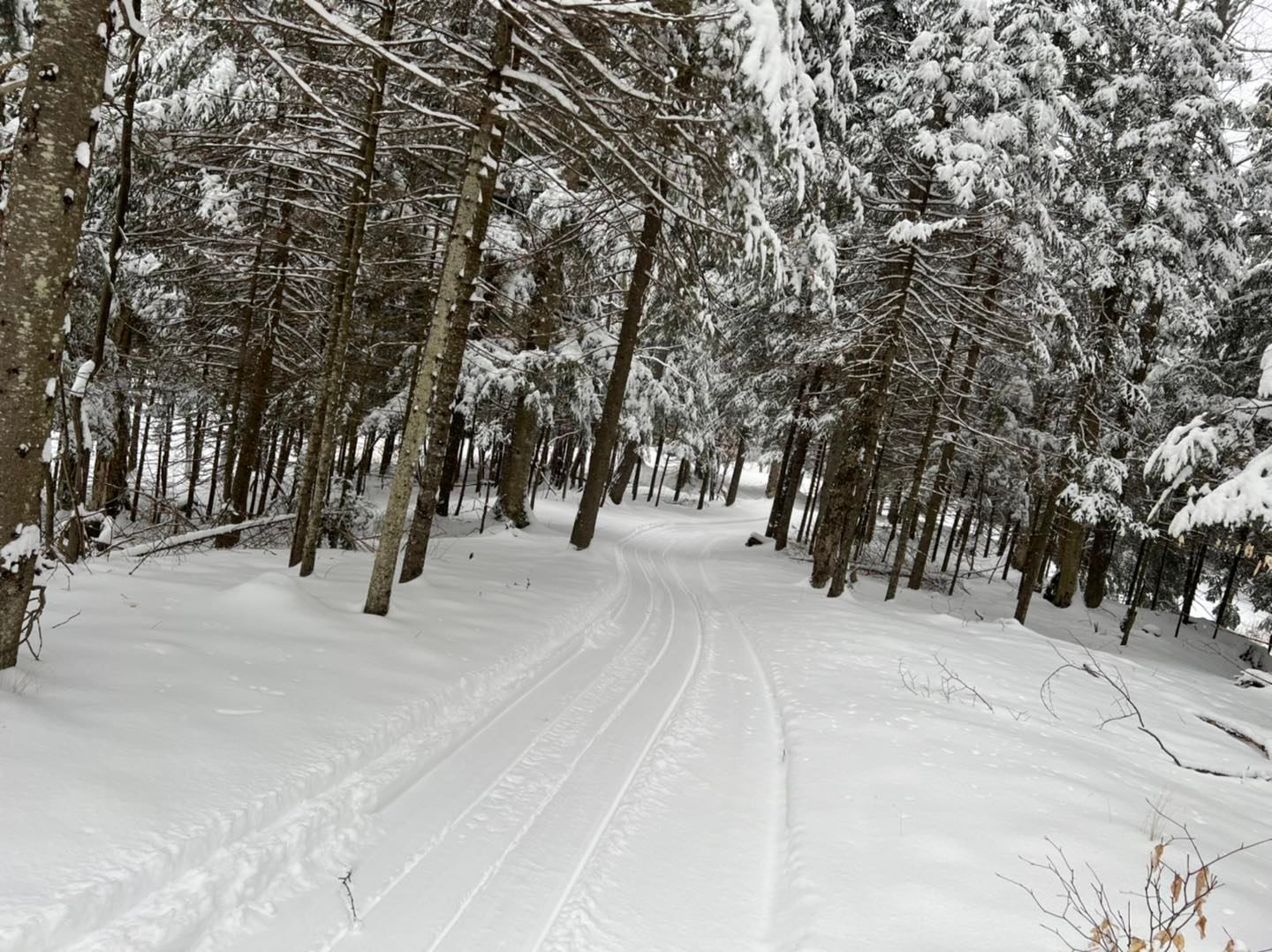 Bondi Village Ski Trails