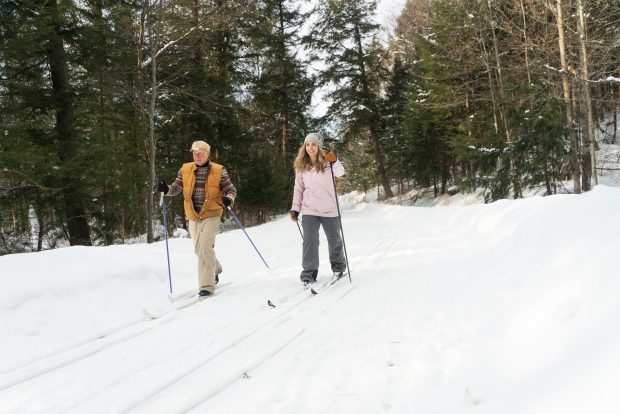 Limberlost Forest Cross Country Skiing