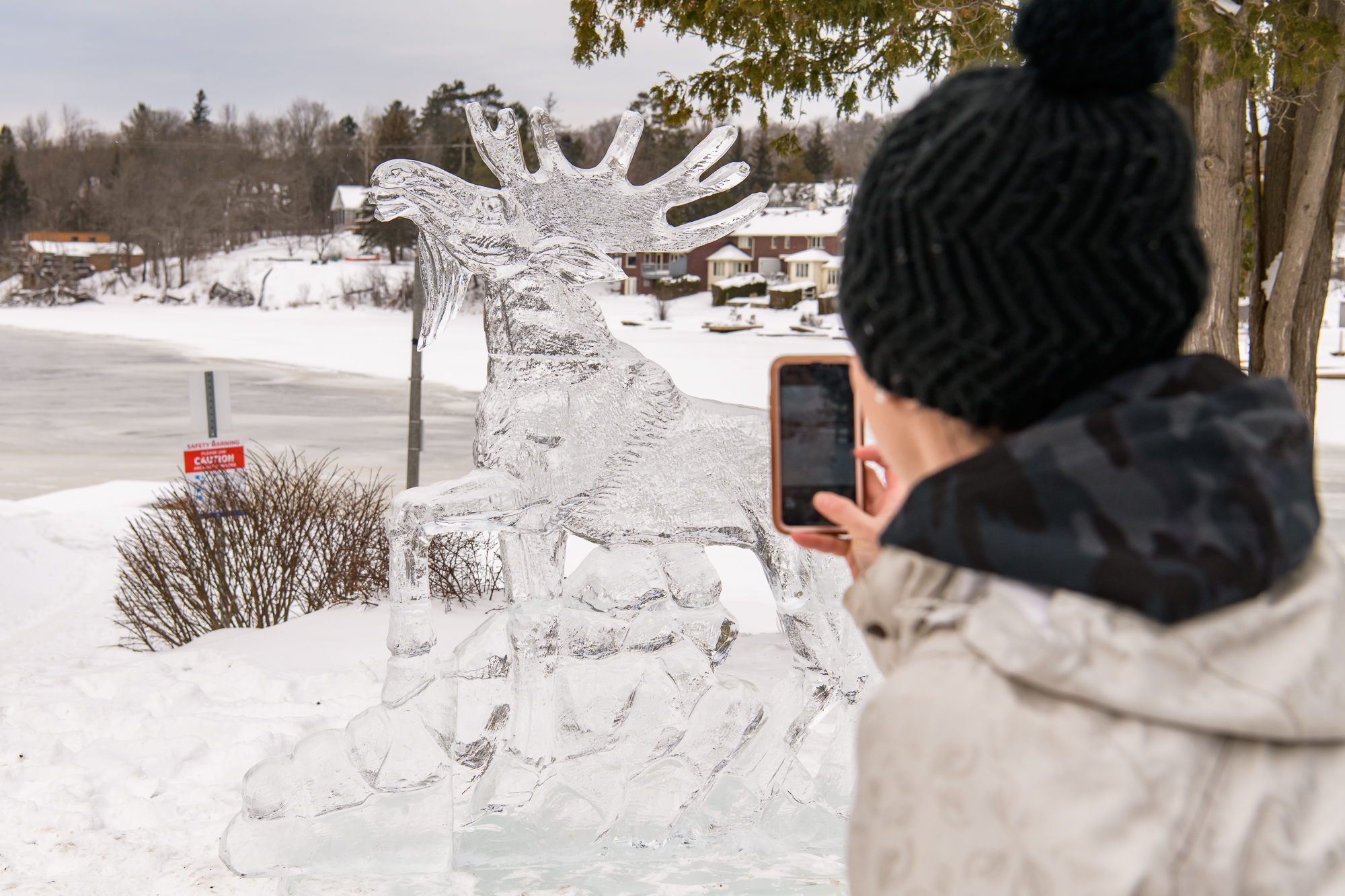 Ice Sculpture Festival